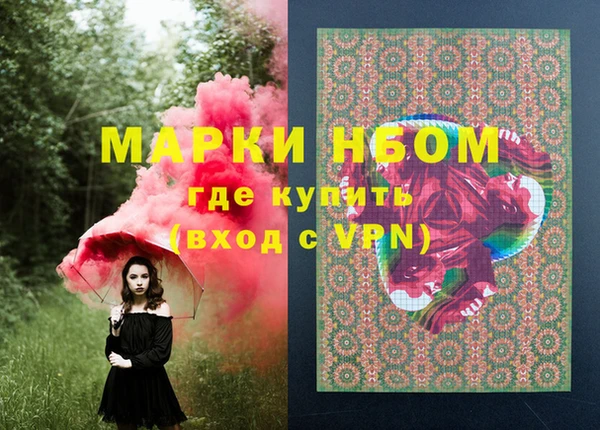 стаф Зеленокумск