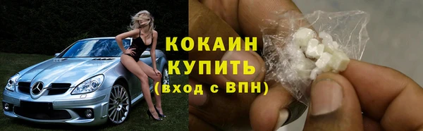 стаф Зеленокумск